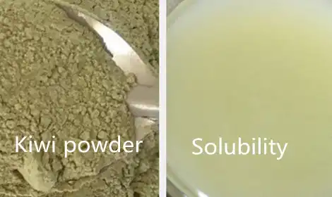 OEM Kiwi Fruit Powder for Beverage Brands